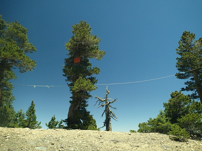 2014 Mt Baldy Cali 151.JPG - Summit Mt San Antonio (Mt Baldy) California